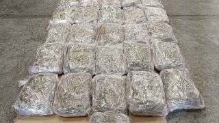 Хванаха 337 кг. марихуана на КГПП "Капитан Андреево"