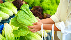 Как правилно да съхраняваме зелените салати, за да останат свежи максимално дълго