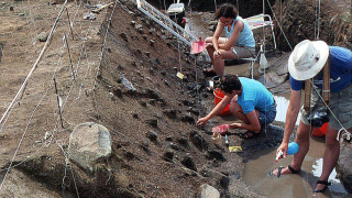 Предозиране: Археолози намерили останки от "израелци" на 780 000 г.