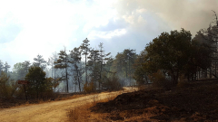 1200 декара са изпепелени при пожара край Костинброд