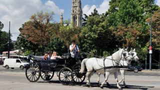 Конете една от големите виенски атракции вече ще носят