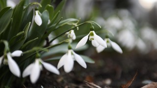 Днес облачността ще е предимно значителна и ще има краткотрайни