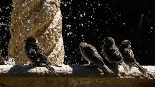 Днес ще бъде предимно слънчево Това съобщават от НИМХ След обяд