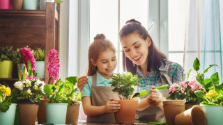 Пролетта ни изненада с буквално летните показания на термометрите и