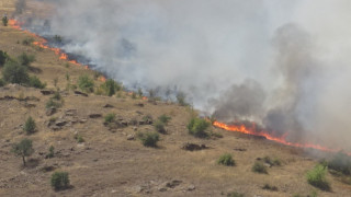Лесничеи загинаха при пожар край санданското село Петрово съобщава БНР