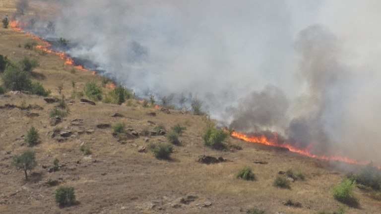 Лесничеи загинаха при пожар край санданското село Петрово, съобщава БНР.