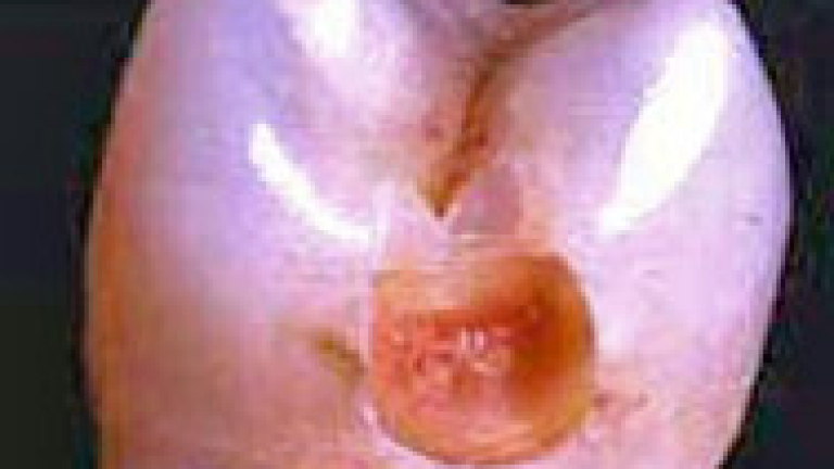 Изображение 12188