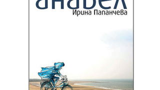 От Ван Гог до административната кариета