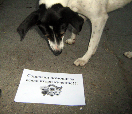 Изображение 133188