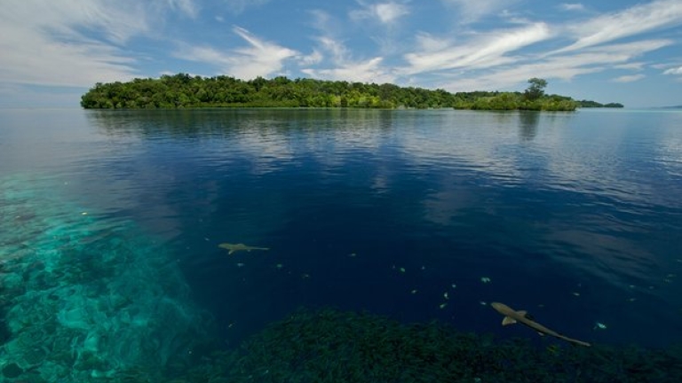 Пет острова в Тихия океан вече са под вода заради климатичните промени  