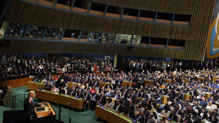 Изображение 313388