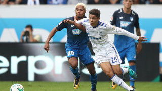 От Хофенхайм обявиха че не е добре да допускат загуба