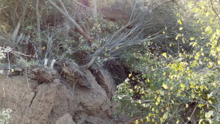 Пожарникари помагат за преодоляване на бедственото положение на територията на