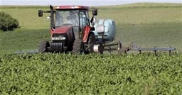 ГМО царевица плъзна из Германия