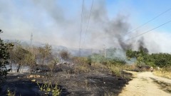 Двама са задържани за пожара над квартал "Владиславово" във Варна