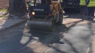 Валяк е ударил кола в квартал Драгалевци в София съобщи