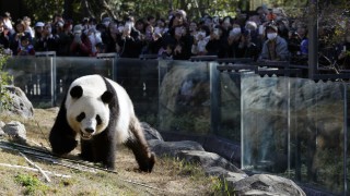 Ден след като се появи новината че скоро Китай ще