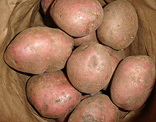 Коледни проверки "извадиха" 17 т картофи без етикети
