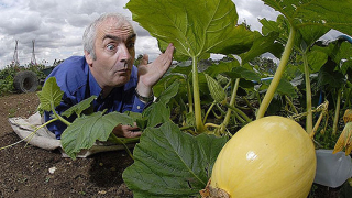 Да изкараме зимата здрави, но и без да пълнеем