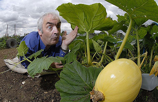 Снимки на най-големите зеленчуци във Великобритания