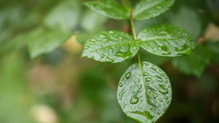 Днес облачността ще е разкъсана Това съобщават от НИМХ Още около