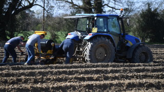 Френските фермери залагат на изкуствените торове от Русия