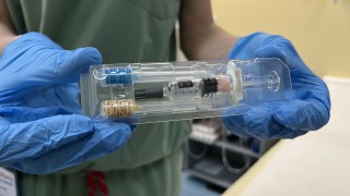 Епидемията от коклюш върви с относително ниски темпове тъй като