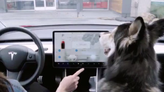 Tesla пуска “кучешки режим” за колите си