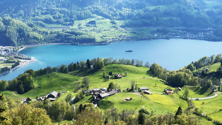 Изображение 496688