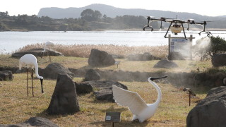 е бил открит в трета японска префектура съобщи министерството на