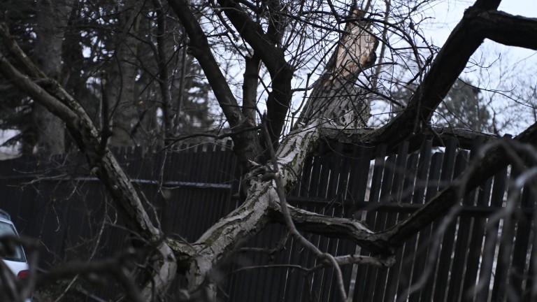 Изображение 746988