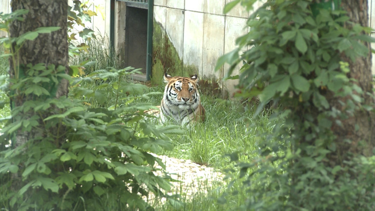 Изображение 357388