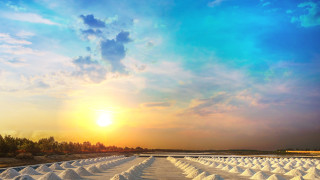 Средната соленост на водата в Световния океан е около 35