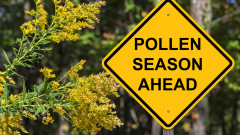 Защо сезонът на алергиите ще е по-дълъг през 2023 г.