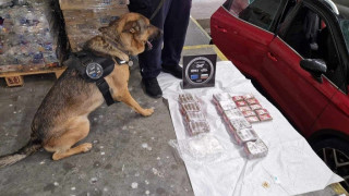 Митническите служители на ГКПП Капитан Андреево откриха 6 килограма хашиш