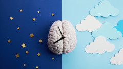 Връзката между съня и болестта на Алцхаймер е по-сложна, отколкото предполагахме