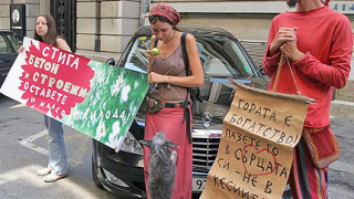 Еколози протестираха пред сградата на ЕК в София