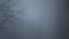 Дъждовен и мъглив вторник