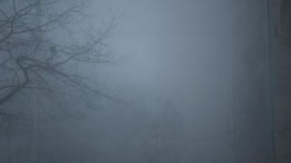 Дъждовен и мъглив вторник