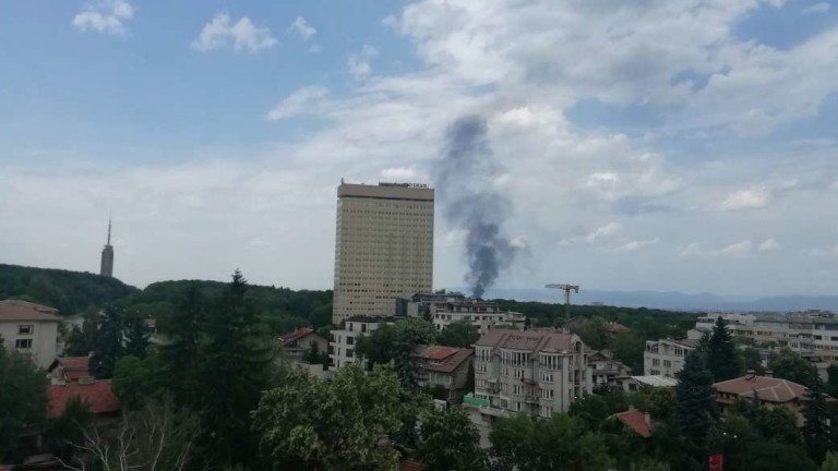 Изображение 430489