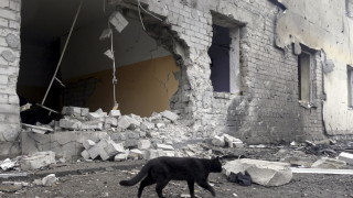 Член на иранския парламент призна че Иран доставя на Русия