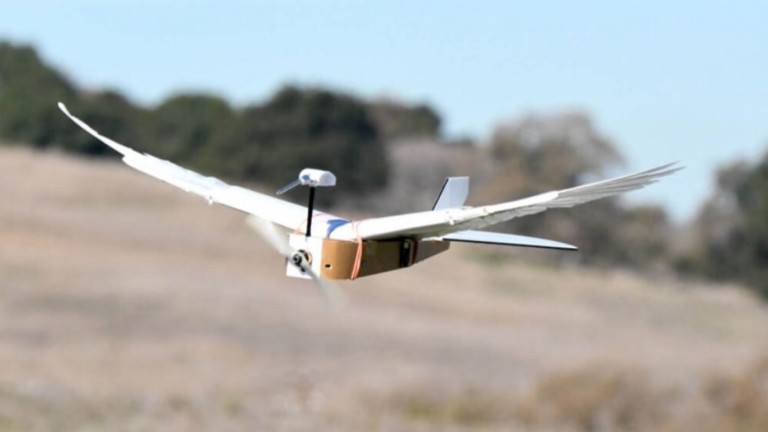 Това е първият летящ робот с пера от птица