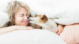  Кучешките целувки и рискът от тях 