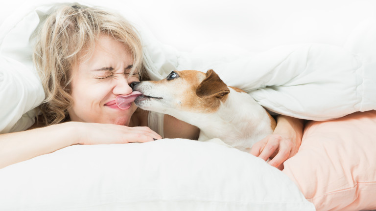 Рисковете на кучешките целувки