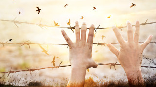 Броят на потенциалните жертви на съвременното робство във Великобритания се