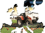 Близо 2 млрд. лв. разпределя ДФ "Земеделие" през 2009 г.