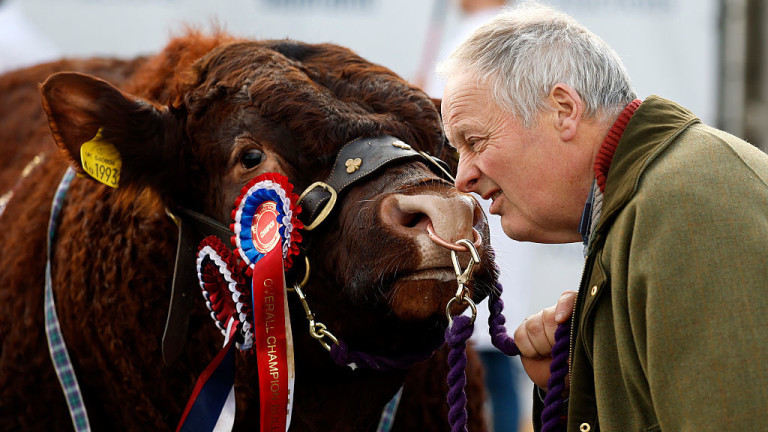 Изображение 752389