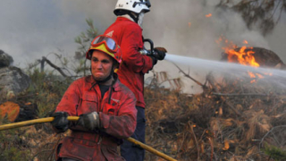 Ветрове разпалиха наново пожари в Португалия