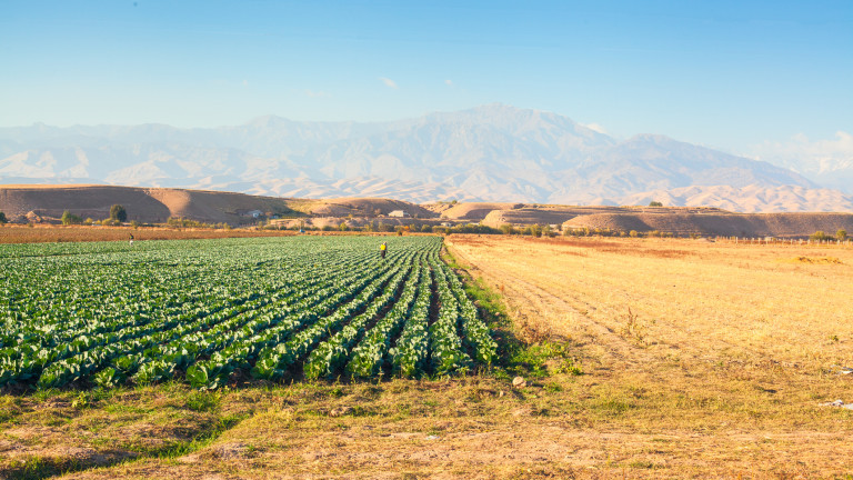 Изображение 752889