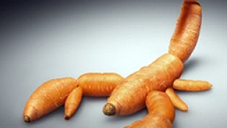 САЩ искали да „накажат” Европа заради борбата с ГМО